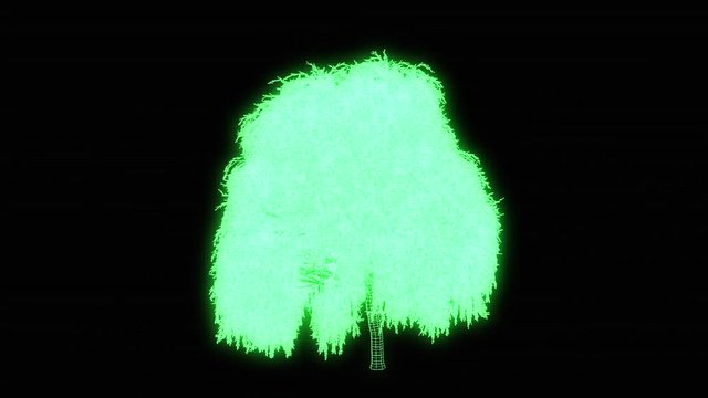  Tree Plant in Wireframe Hologram Style. Nice 3D Rendering

