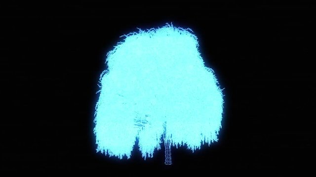  Tree Plant in Wireframe Hologram Style. Nice 3D Rendering

