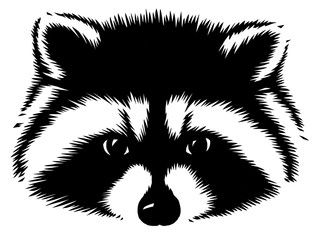 black and white linear paint draw raccoon illustration © Turaev