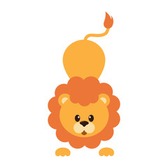 cute lion 