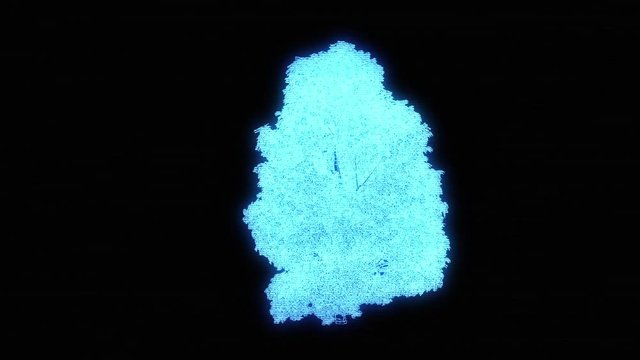  Tree Plant in Wireframe Hologram Style. Nice 3D Rendering
