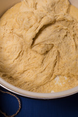 Dough for bread on yeast