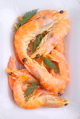 shrimp and dill in white plate on a white background