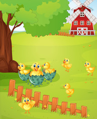 Obraz na płótnie Canvas Little chicks on the farmyard
