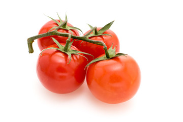 Red tomatoes with branch on a white