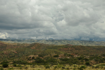 Fototapeta na wymiar Mendoza countryside
