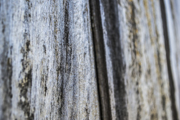 Obraz premium textura madera