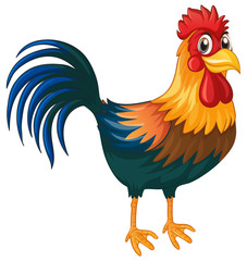 Rooster standing on white background