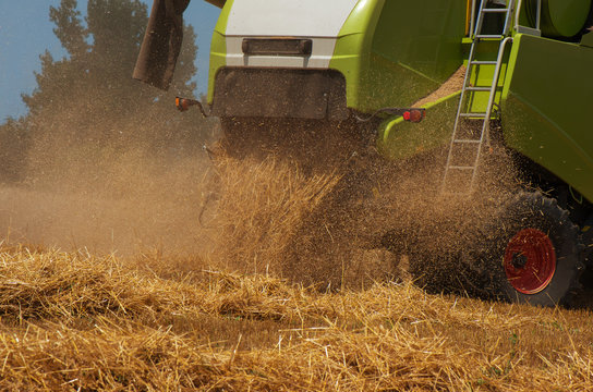 Combine harvester. Harvesting of wheat. Reaper reaps  crops at harvest, when they are ripe.  