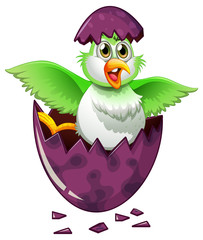 Green bird in purple egg