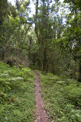 Hogsback Mountain Village Eastern Cape South Africa