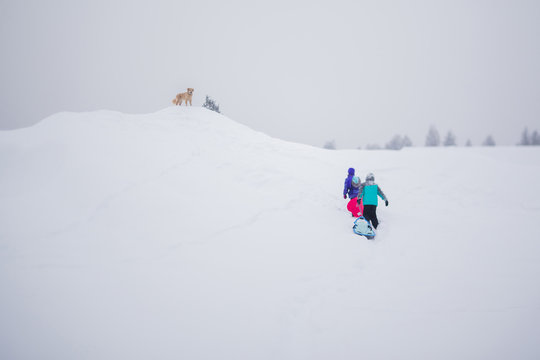 Rear view of girls carrying sleds while walking on snow covered field