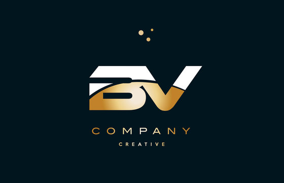 bv b v  white yellow gold golden luxury alphabet letter logo icon template