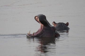 Kenya, Africa