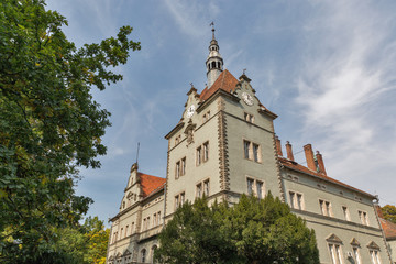 Schonborn Palace in Chynadiyovo, Ukraine.