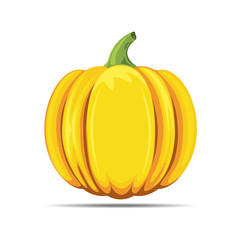 Pumkin orange color illustration