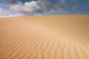 Fototapeta na wymiar désert