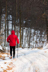 Leśna ścieżka do Nordic Walking zimą. © Zbigniew