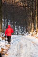 Leśna ścieżka do Nordic Walking zimą. © Zbigniew