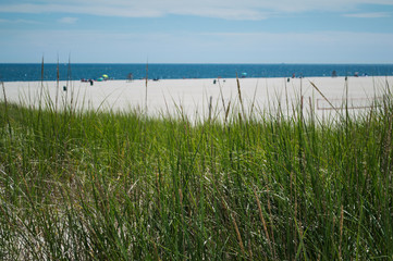 Fototapeta na wymiar Beach and Dunes – Summer in the Hamptons, USA