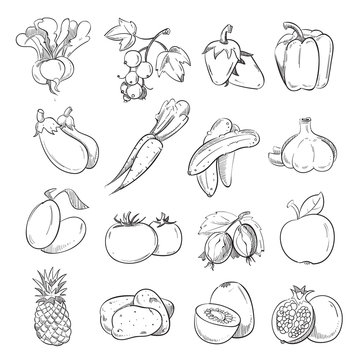 Doodles of vegetables and fruits, hand drawing vegan cooking food icons