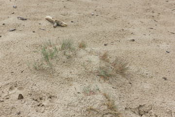 Holmer Sandberge, Geotop