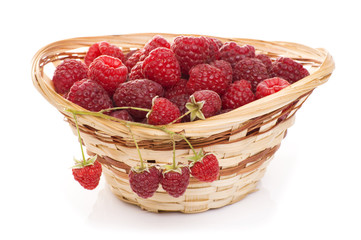 ripe raspberries in basket with mint on white