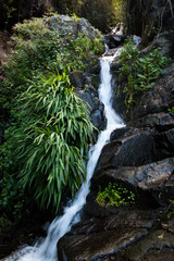 Beautiful garden waterfall