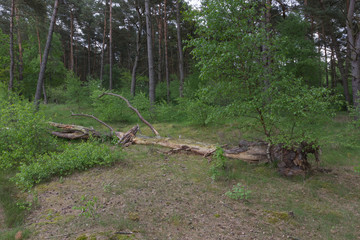 Holmer Sandberge, Geotop