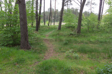 Holmer Sandberge, Geotop