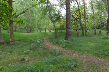 Holmer Sandberge, Geotop