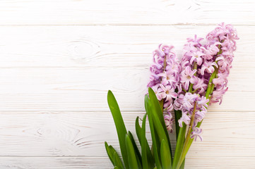 Hyacinth flowers on white wooden background.. Bouquet of spring flowers. Spring background