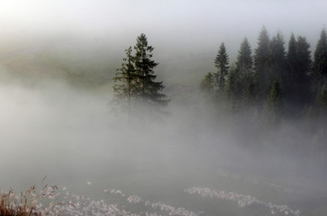 Wiosenne Mgliste Pieniny