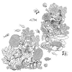 Reef Corals and Fishes