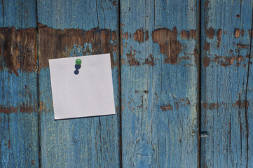pure white small leaf on a blue wooden wall