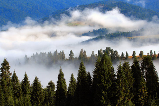 Fototapeta Wiosenne Mgliste Pieniny