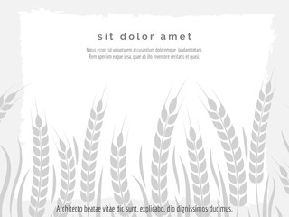 Horizontal agriculture poster with wheat branches vector illustration. Stylish monochromic harvest background