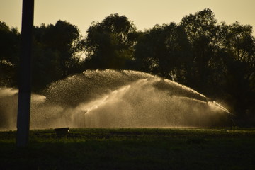 Irrigation system in field of melons. Watering the fields. Sprinkler