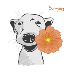 The dog with the orange flower. Vector illustration on a white background. Spring dog inscription