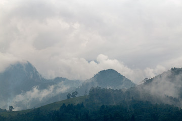 Dramatic clouds swirl through the cloud forest at the Recinto del Pensamiento nature reserve near Manizales, Colombia.