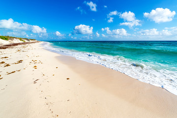 Beach and Turquoise Water