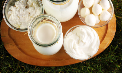 milk products - tasty healthy dairy products in fresh grass: sour cream in a white bowl, cottage cheese bowl, cream in a a bank and milk jar, glass bottle and in a glass