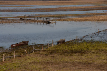 Pychówki na rozlewiskach Biebrzy wiosną. © Agnieszka Rodowicz