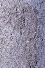 Texture of an old white concrete wall