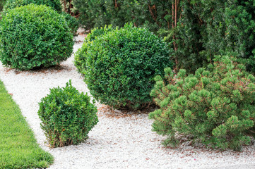 round the bushes on the flowerbed
