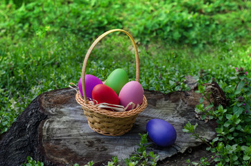 Fototapeta na wymiar Bright colorful Easter eggs in a basket on tree stump.