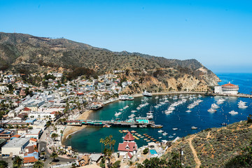 Catalina Island Harbor during Summer - obrazy, fototapety, plakaty