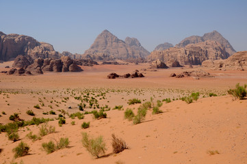 Fototapeta na wymiar Désert du Wadi Rum
