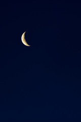 Obraz na płótnie Canvas Crescent on a dark blue sky in the night