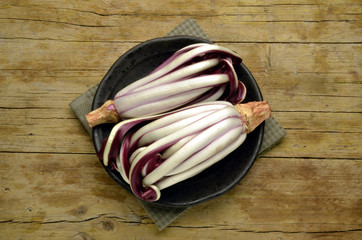 Red radicchio tardivo de Treviso 
